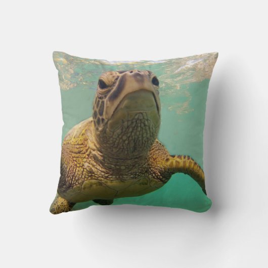 ハワイのカメ クッション (裏面)