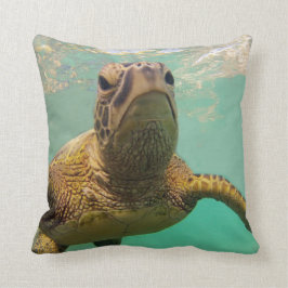 ハワイのカメ クッション