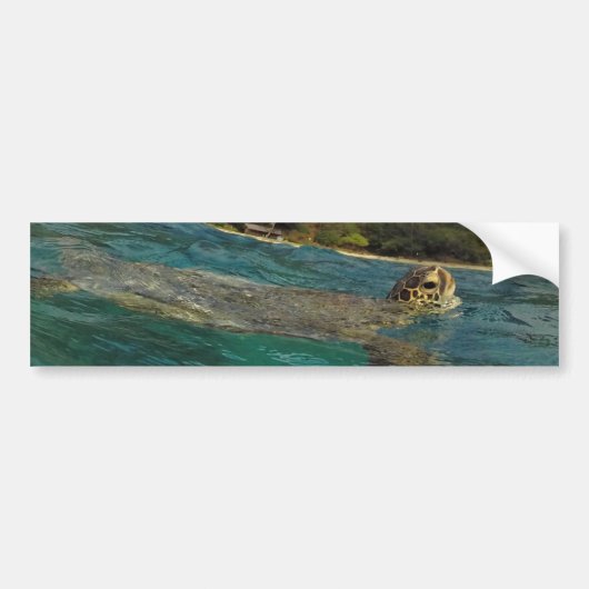 ハワイのカメ- Honu バンパーステッカー (正面)