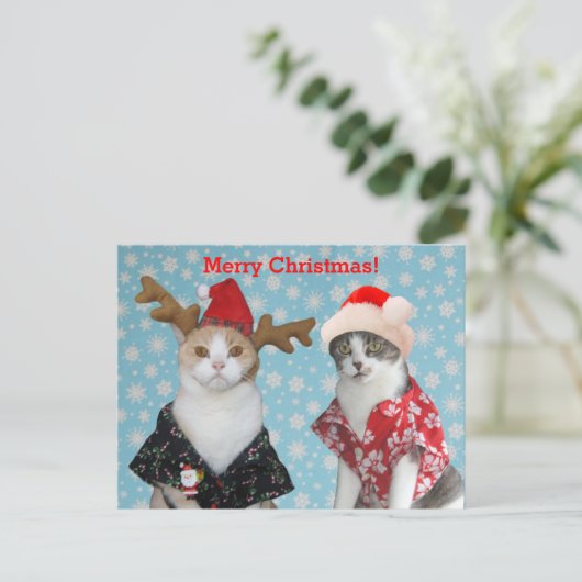 ハワイのクリスマスのワイシャツのおもしろいな猫 シーズンポストカード (スタンド正面)