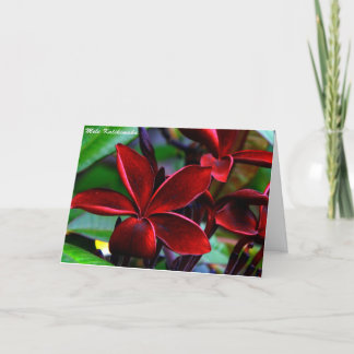 ハワイのクリスマスカード シーズンカード