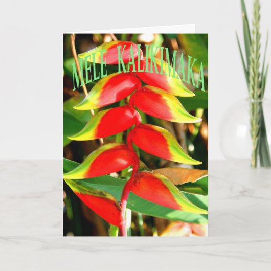 ハワイのクリスマスカード シーズンカード (正面)