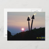 ハワイのサンセットルアウギフト ポストカード (正面/裏面)