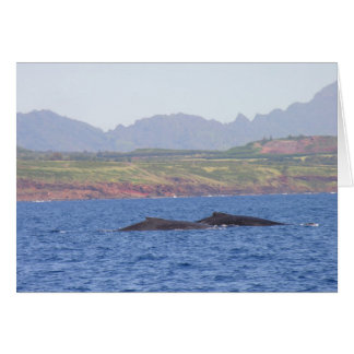 ハワイのザトウクジラ
