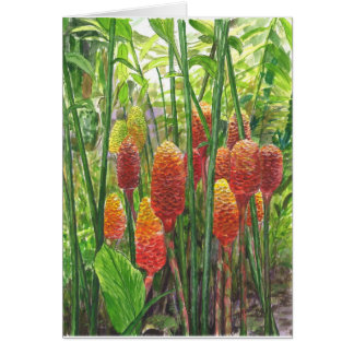 ハワイのショウガの植物