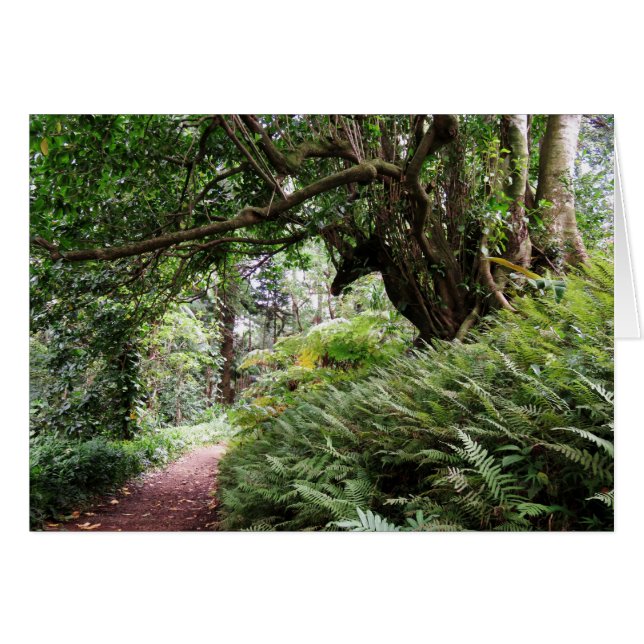 ハワイのハイキングコース (正面横)