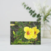 ハワイのハイビスカスの花 ポストカード (スタンド正面)
