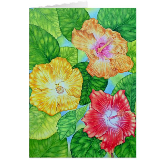 ハワイのハイビスカス (正面)