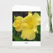 ハワイのハッピーバースデー -- Hauの`のoliのLa Hanau カード (裏面)