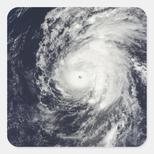 ハワイのハリケーン・ネキ西 スクエアシール (正面)