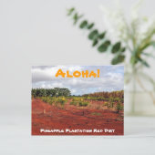 ハワイのパイナップル農園のポストカード ポストカード (スタンド正面)