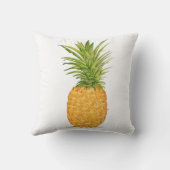 ハワイのパイナップル クッション (裏面)