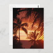 ハワイのパームツリーサンセット ポストカード (正面/裏面)