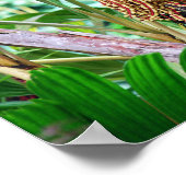 ハワイのパームフルーツ ポスター (角)