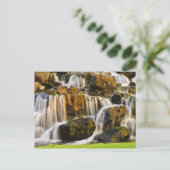 ハワイのビッグアイランド。カスケーディングストリーム、ビッグアイランド ポストカード (スタンド正面)