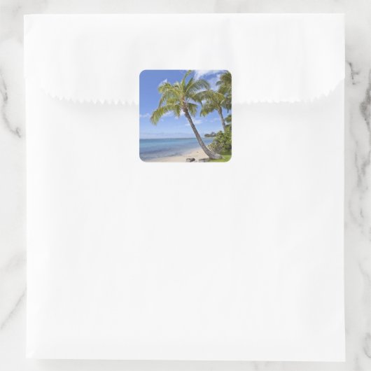 ハワイのビーチのヤシの木。 スクエアシール (バッグ)