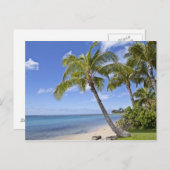ハワイのビーチのヤシの木。 ポストカード (正面/裏面)