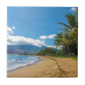 ハワイのビーチ タイル (正面)