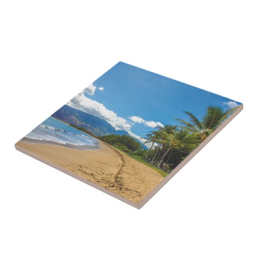 ハワイのビーチ タイル (側面)