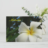 ハワイのプルメリアの花の悔やみや弔慰のサンキューカード サンキューカード (スタンド正面)