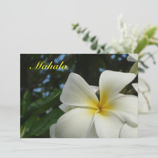 ハワイのプルメリアの花の悔やみや弔慰のサンキューカード サンキューカード (スタンド正面)