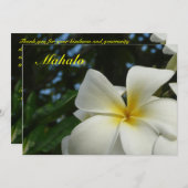 ハワイのプルメリアの花の悔やみや弔慰のサンキューカード サンキューカード (正面/裏面)