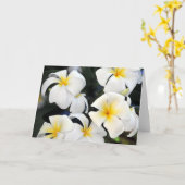 ハワイのプルメリアの花の挨拶状 カード (黄色い花)
