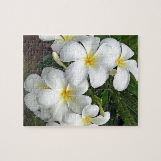 ハワイのプルメリアの花 ジグソーパズル (横)