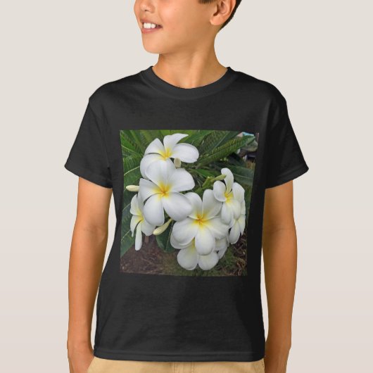 ハワイのプルメリアの花 Tシャツ (正面)