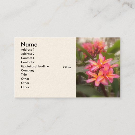 ハワイのプルメリア 名刺 (正面)