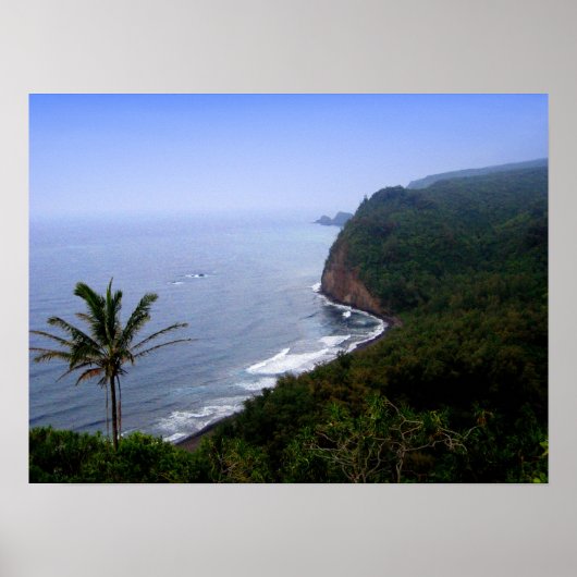 ハワイのポスターオブプロルールックアウト ポスター (正面)