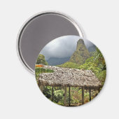 ハワイのマウイ島のアイオバレー州パークのハット マグネット (正面/裏面)