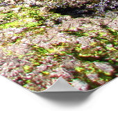 ハワイのマウイ州ハナへの道の滝 ポスター (角)