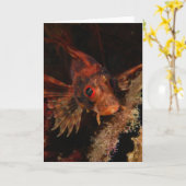 ハワイのミノカサゴ カード (黄色い花)