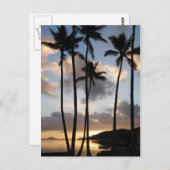 ハワイのヤシの木のシルエット ポストカード (正面/裏面)