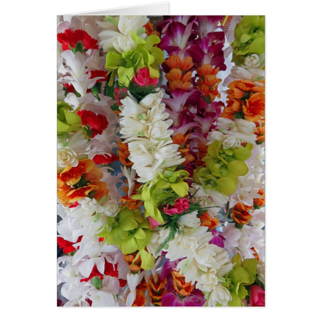 ハワイのレイの立場 (正面)