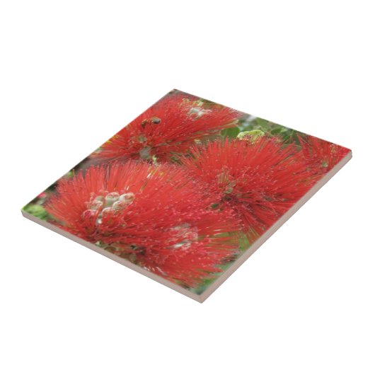 ハワイの原産のOhia Lehuaの花のデザイン タイル (側面)