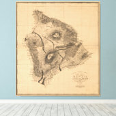 ハワイの地図ハワイアン諸島（1886年） キャンバスプリント (インサイチュ (ウッドフロア))