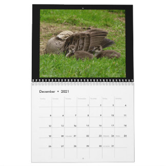 ハワイの宝石2021カレンダー カレンダー