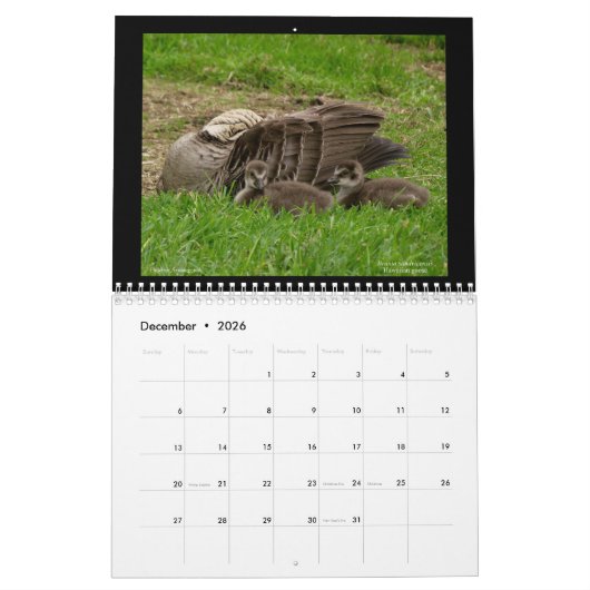 ハワイの宝石2021カレンダー カレンダー (12月 2026)