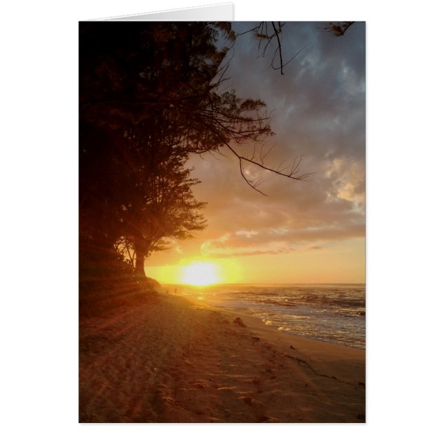 ハワイの日没 (正面)