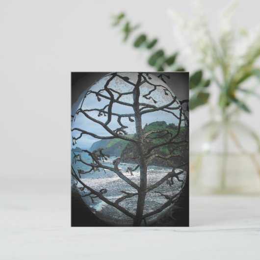 ハワイの枯れ木が注目を集める ポストカード (スタンド正面)