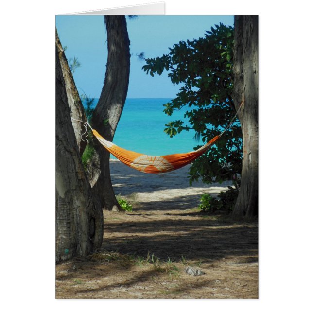 ハワイの楽園 (正面)