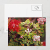ハワイの火山のレフアの花 ポストカード (正面/裏面)