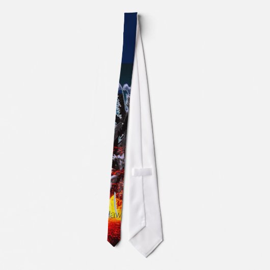 ハワイの火山 ネクタイ (裏面)