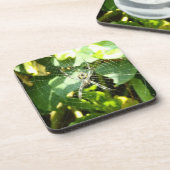 ハワイの熱帯スパイダーウェブコースター コースター (左側)