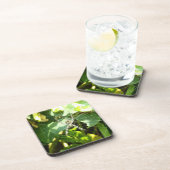 ハワイの熱帯スパイダーウェブコースター コースター (右側)