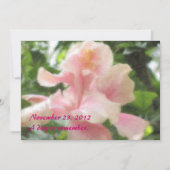 ハワイの熱帯ハイビスカスの招待状 招待状 (正面)