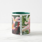 ハワイの熱帯プルメリア及びハイビスカスのマグ マグカップ (中央)