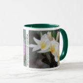 ハワイの熱帯プルメリア及びハイビスカスのマグ マグカップ (正面右)